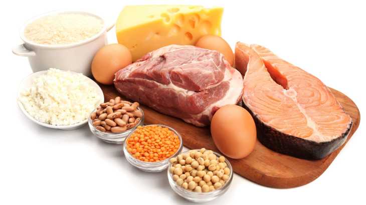 Quais alimentos mais possuem proteínas?