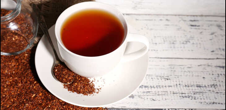 Você conhece o chá de Rooibos?
