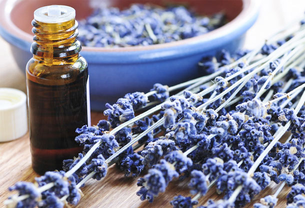 Óleo Essencial de Lavanda