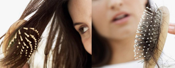 Qual a diferença entre Queda de Cabelo e Quebra de Cabelo?